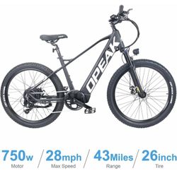 New eMTB 2024 Front Suspension Electric Bike - 750W Motor 48V 14.5Ah Detachable eBike Battery, Versatile Mountain/City/Urban Bicycle Long Range,Thrott