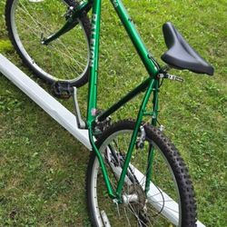 Raleigh M50 Mountain Bike Size 26 Aluminum 