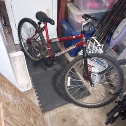 26 In Women's Bike Roadmaster Elevation 