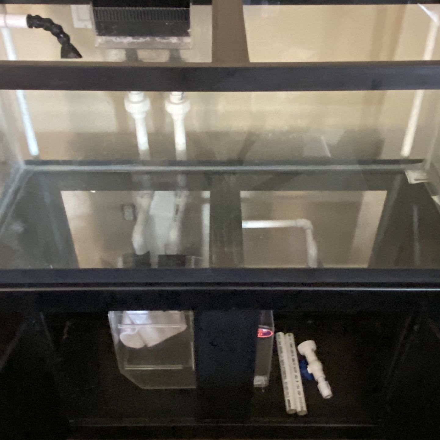 Saltwater Tank Setup 75 Gal