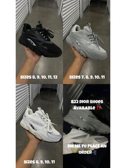b22s diors