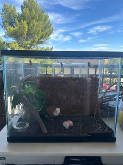 Terrarium tank