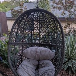 Swinging Egg Chair