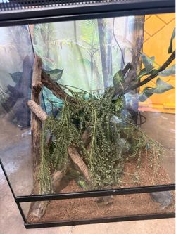 Reptile cage