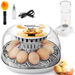 Egg Incubator for Hatching Chicks, Automatic Egg Turner Holds 12 Eggs, Smart Incubator 360° Clear Window with Temperature Display Egg Candler for Smal