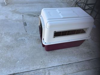 Nice Dog Kennel