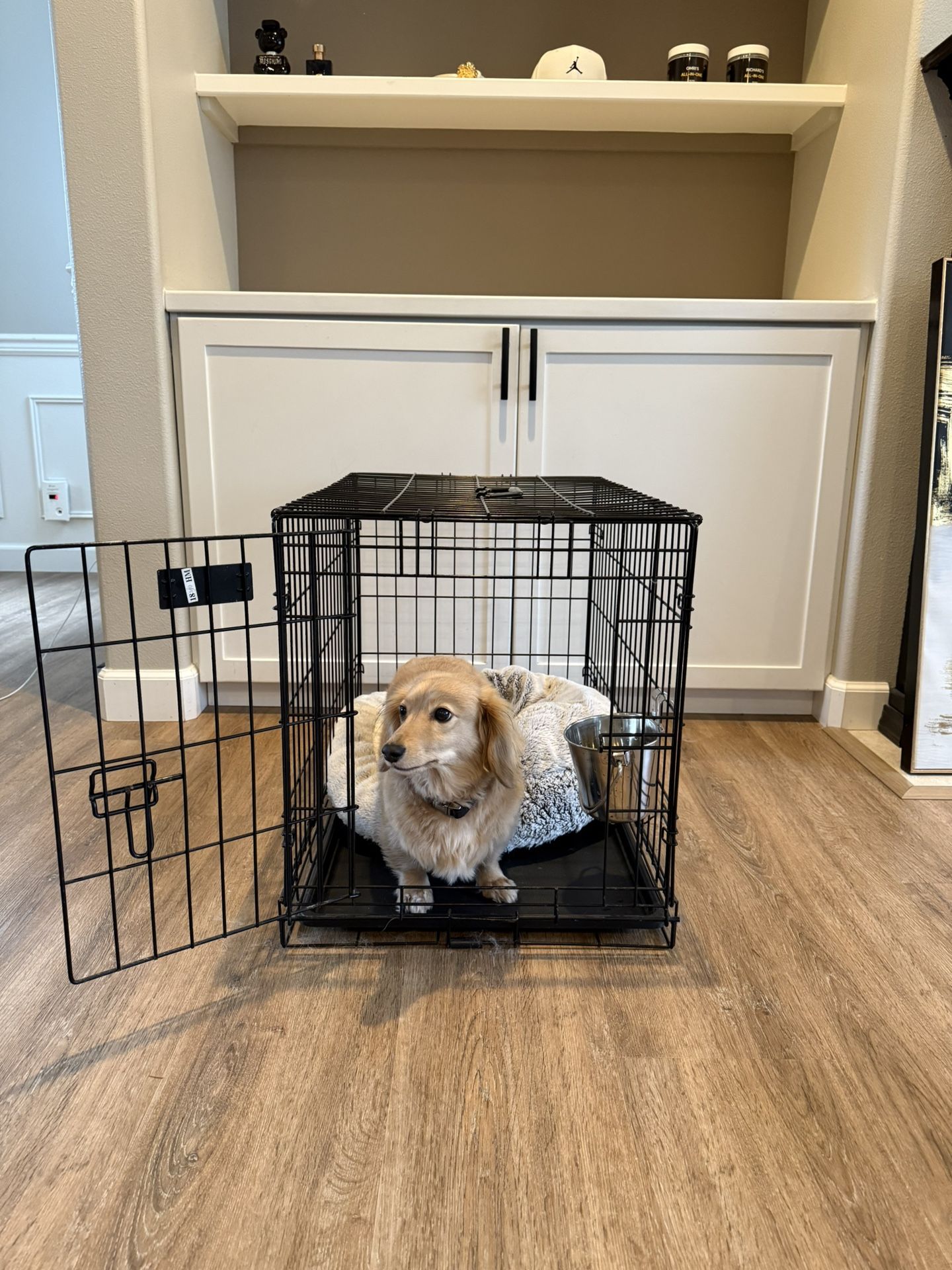 Medium Dog Crate β Great Condition πΎ