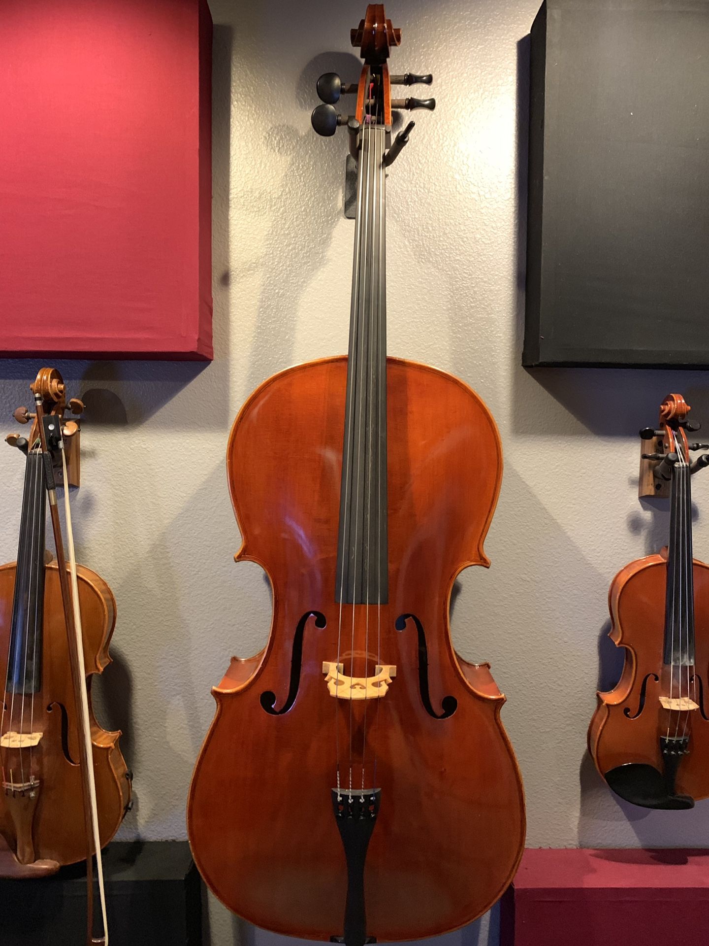 Cello 4/4 Size Lisle violin shop model 312