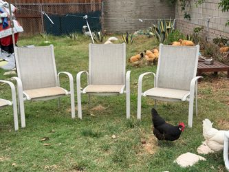 Sling fabric chairs. As is. $50. 6 chairs