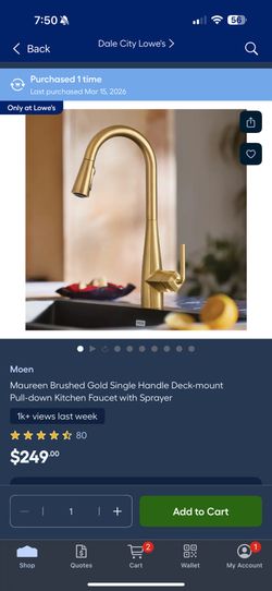 Moen Kitchen Faucet
