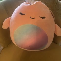 Squishmallows 