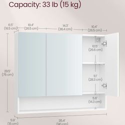 Wall Mirror Cabinet with Storage
