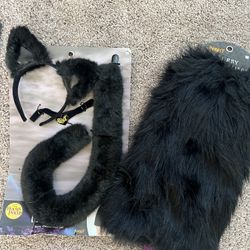 Halloween Costume/ Black Cat