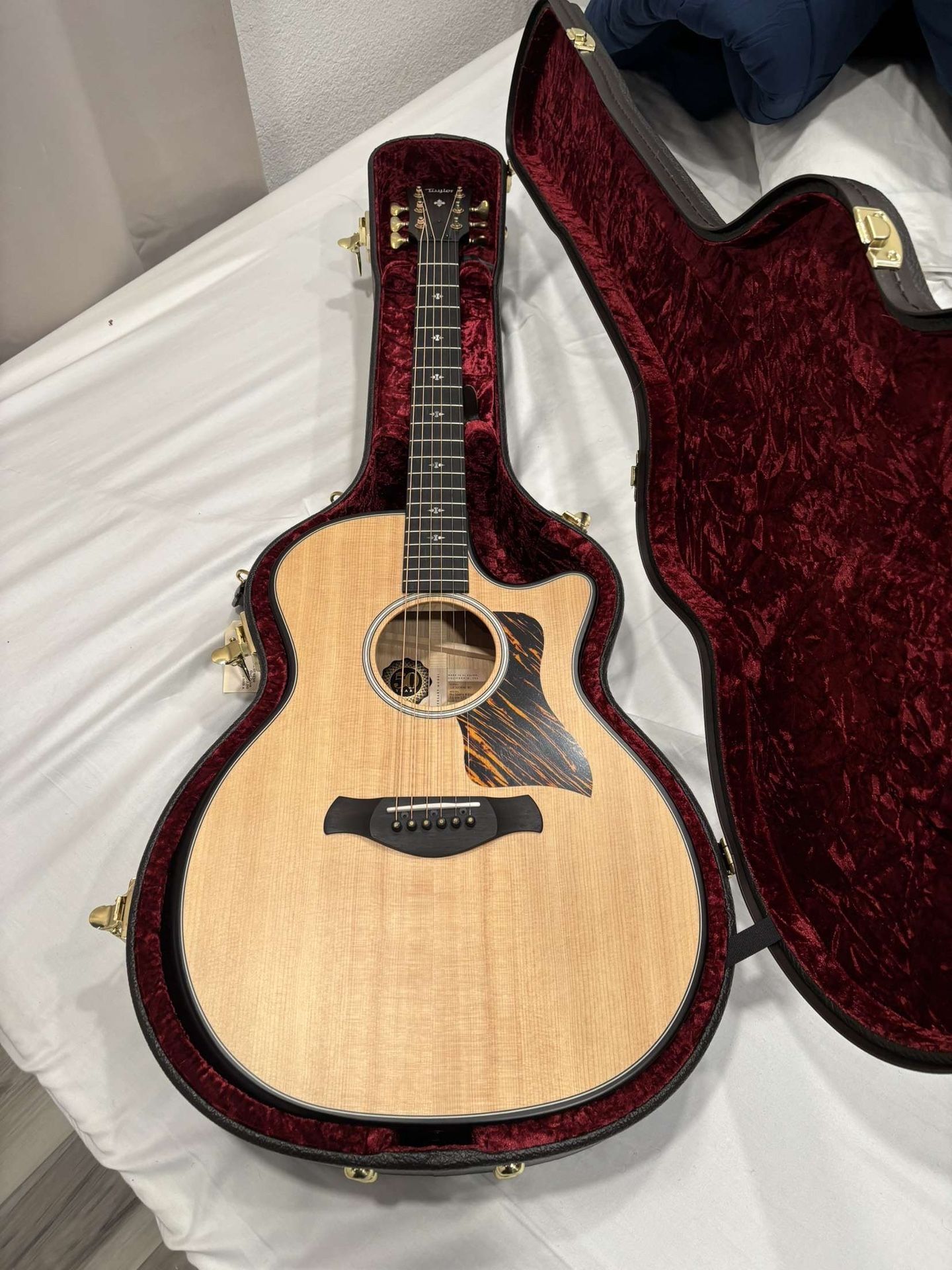Taylor 314ce LTD builders addition 50th A