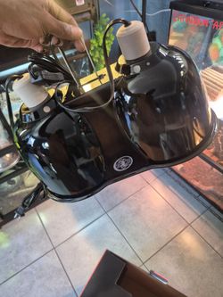 Dual fixture dome