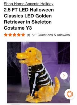 Retriever skeleton lighted