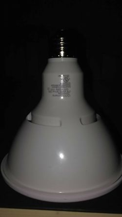 Phillip's LED dimmable bulbs