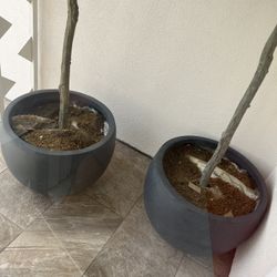  2 Flower Pots With Fake flower tree