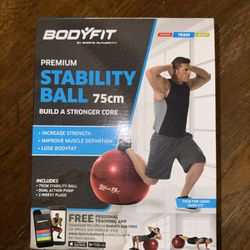 Bodyfit Stability Exercise Ball Chair with Pump And 2 Insert Plugs