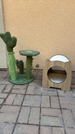 Cat house and tree