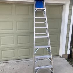 Brand New Werner Ladder 