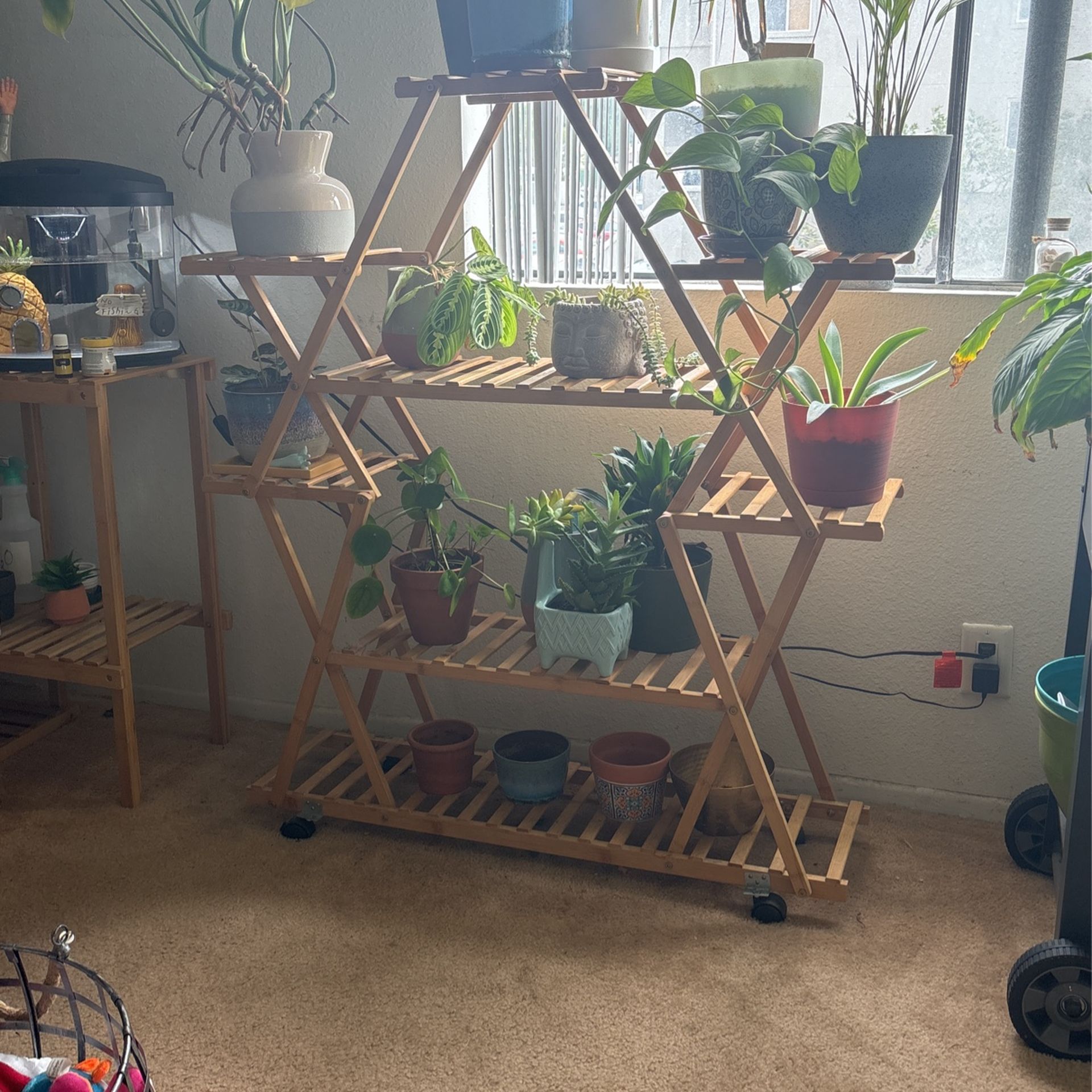 Plants And Plant stand