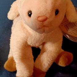 TOY PLUSH COLLECTOR TY BEANIE BABIES ONLY 5$ EACH SPUNKY COCKER SPANIEL, LAWRENCE CAMEL, LEGS FROG, EWEY LAMB NEW