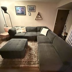 Family Couch From Costco 