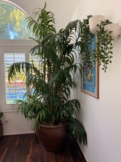 tall fake tree