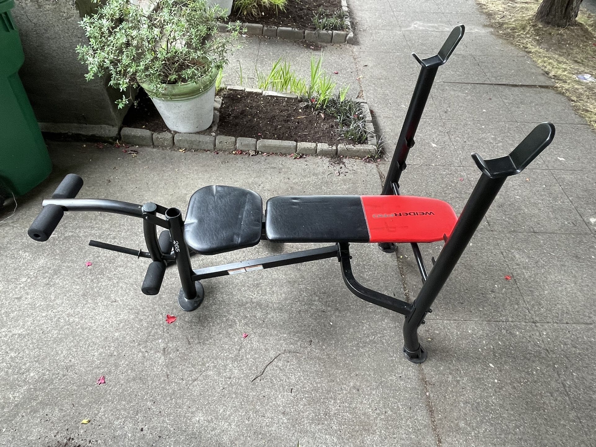 Weider Pro Bench
