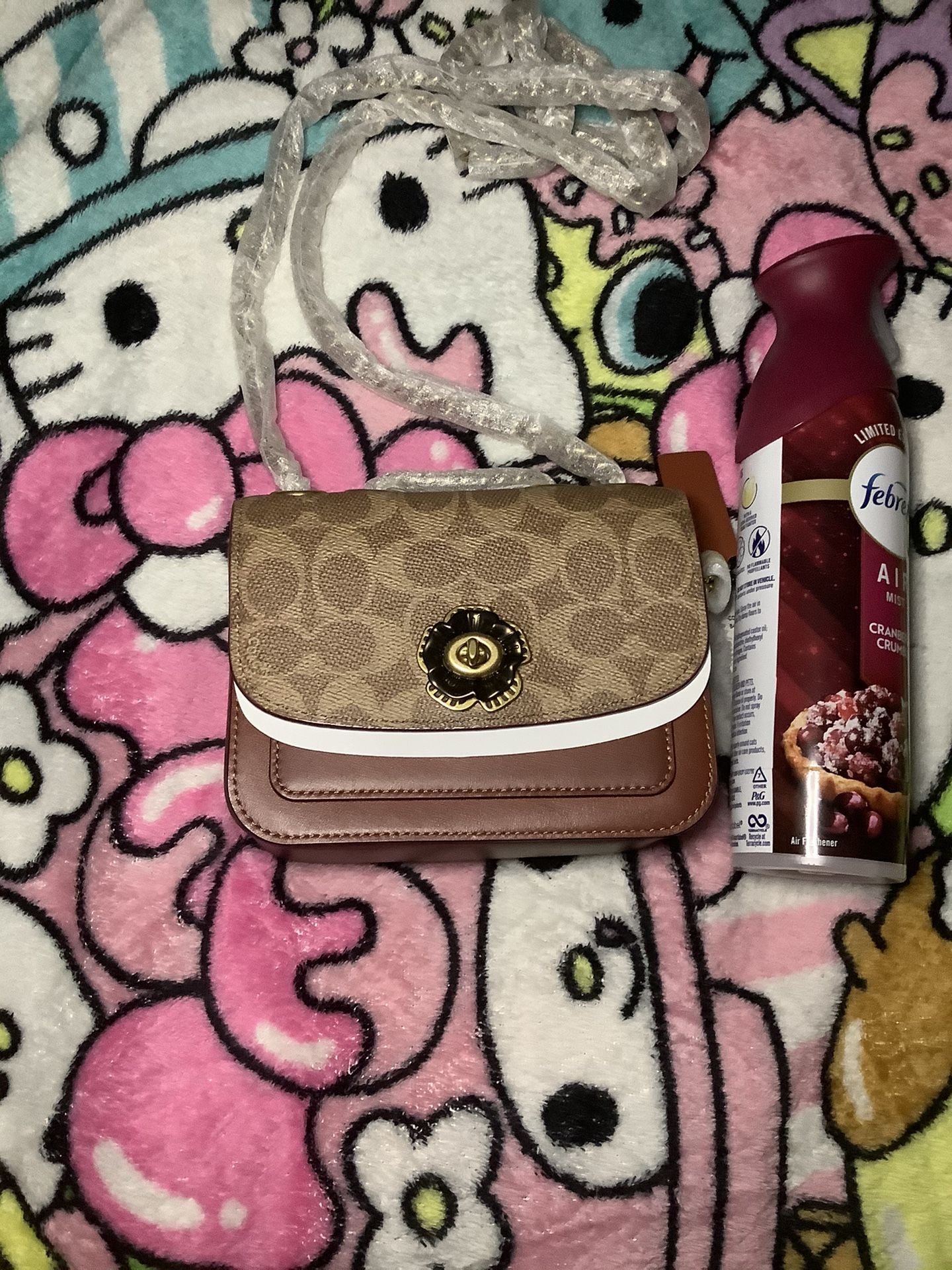 Coach Leather Mini  Authentic 