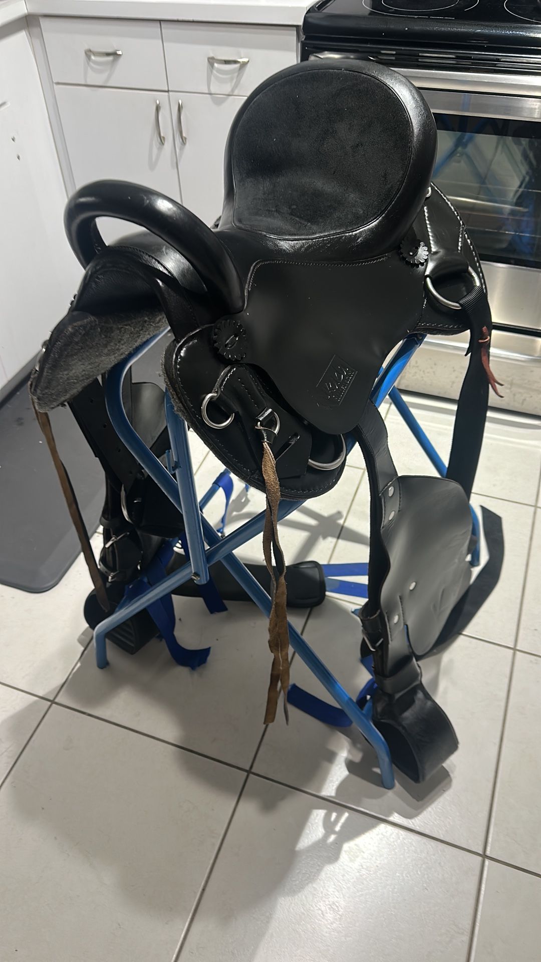 Saddle Horse