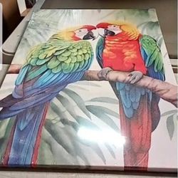 Bird Wall Art Colorful Parrot Canvas Wall art, 16”x24”