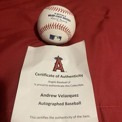 Autographed Andrew Velasquez (Angels Baseball)
