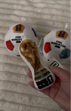 World Cup two balls and cup