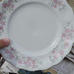 Porcelain China