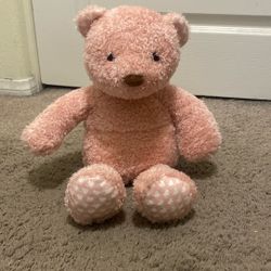 Pink Heatable Bear 