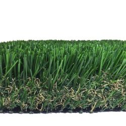 Synthetic Turf And Concrete 