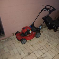 Toro