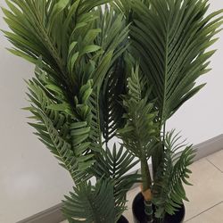 *** NEW LOW PRICE *** PAIR of 4ft Faux Golden Cane Palms in 11in (Tall) Green Planters @ Lasting Creations