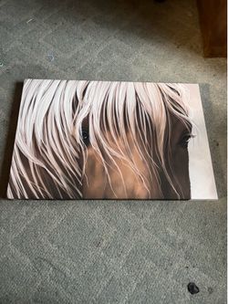 Canvas horse picture