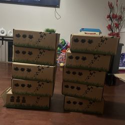 Plant House Decoration