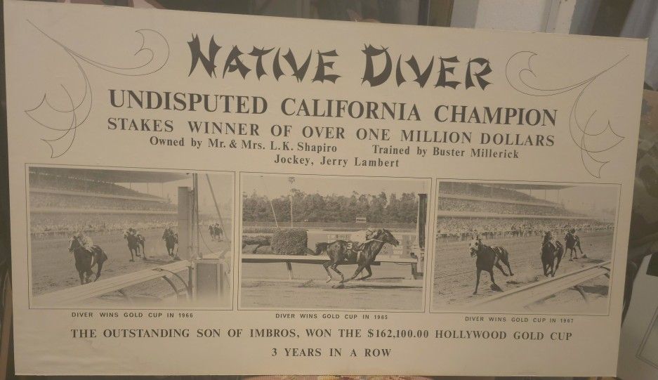 Rare Poster Advertising Native DIVER Winner In 1965/66/67 Of A California Gold Cup