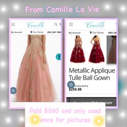 Prom/Quinceañera Dress 