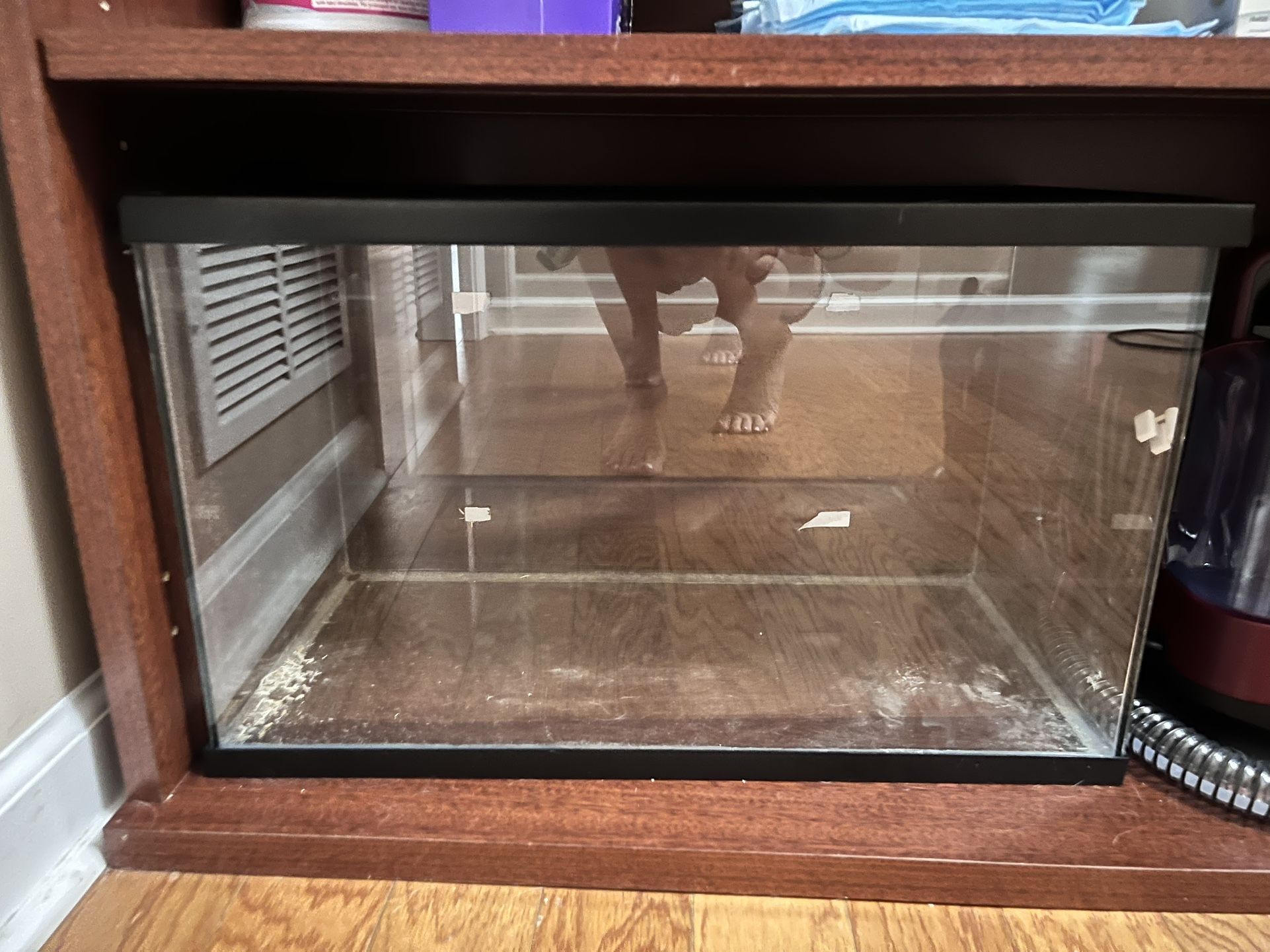 10 gallon tank