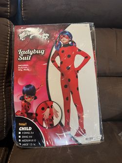 Kids Lady Bug Costume