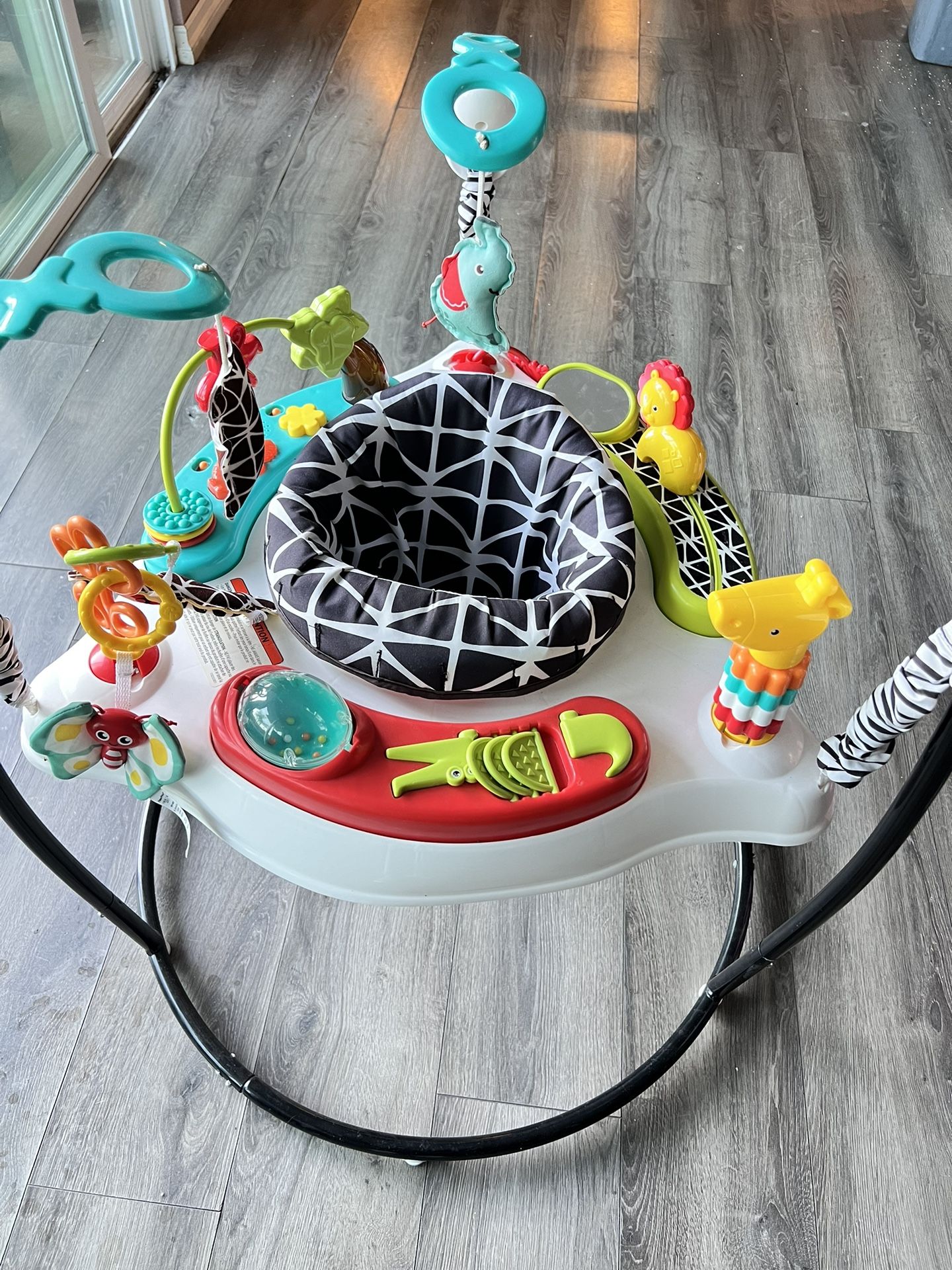 Fisher-Price Baby Bouncer