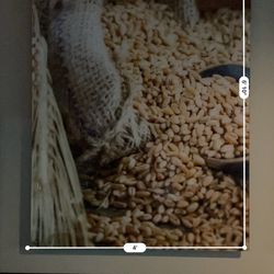 Pictures For Restaurant, Coffee Shop Or Home