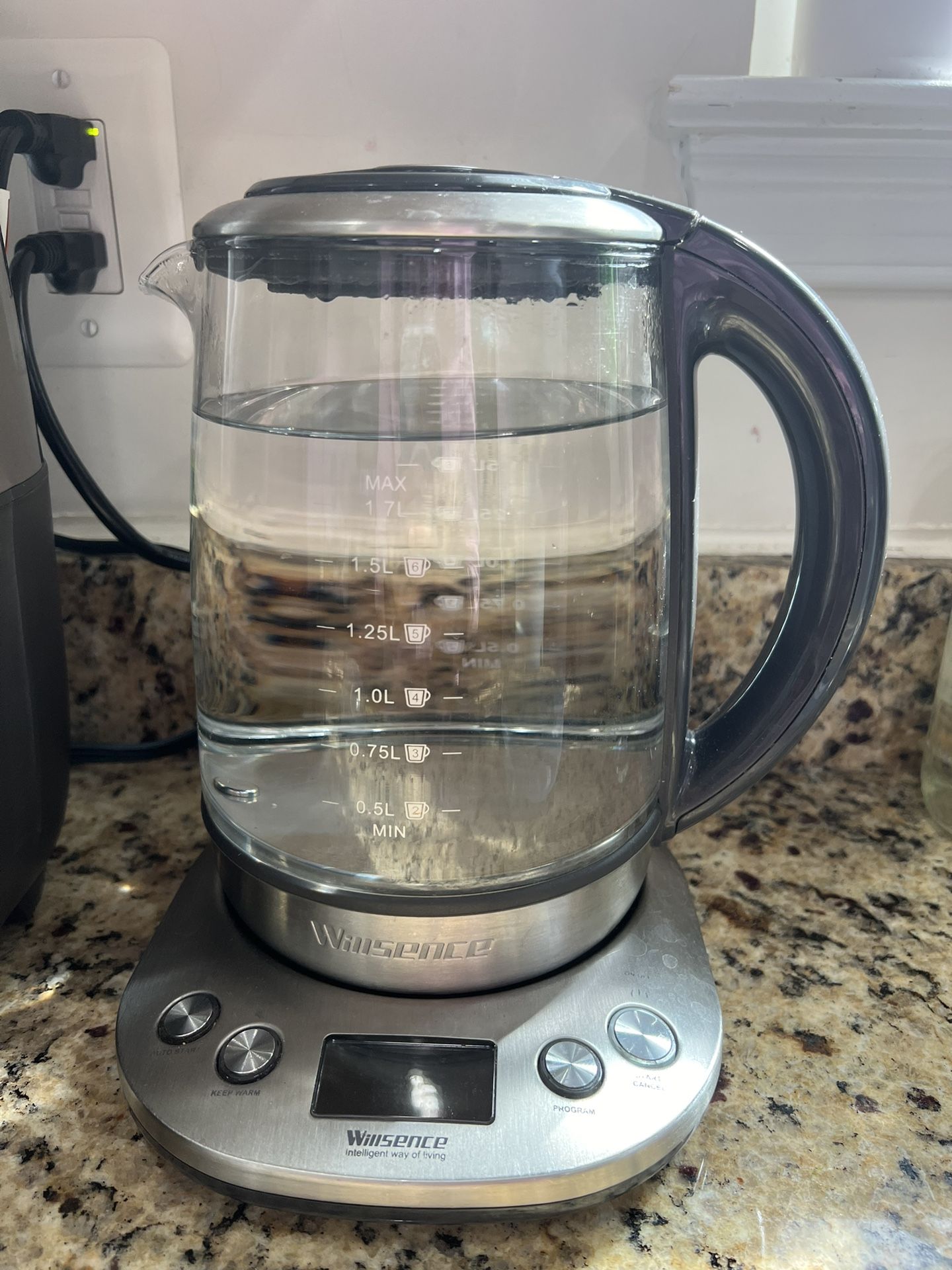 Electric Kettle 