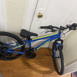 Nishiki Mountain Bike